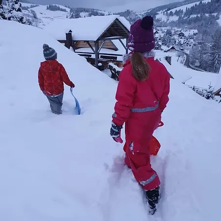 Domek alpejski Komfortowe Osada śniadania Sauna Grill Basen Jaworki
